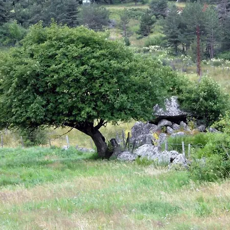La Campone 2/4 Personnes Hébergement de vacances Montbel (Lozere)